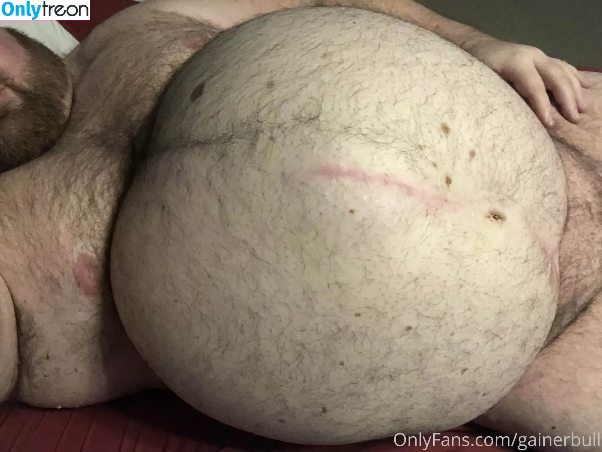 gainerbull nude photo #0377 (gainerbull)