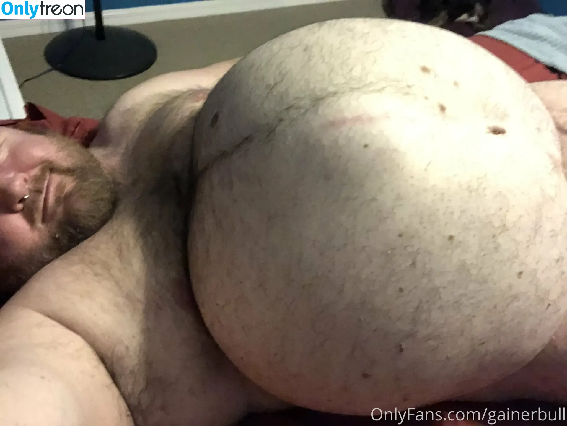 gainerbull nude photo #0384 (gainerbull)