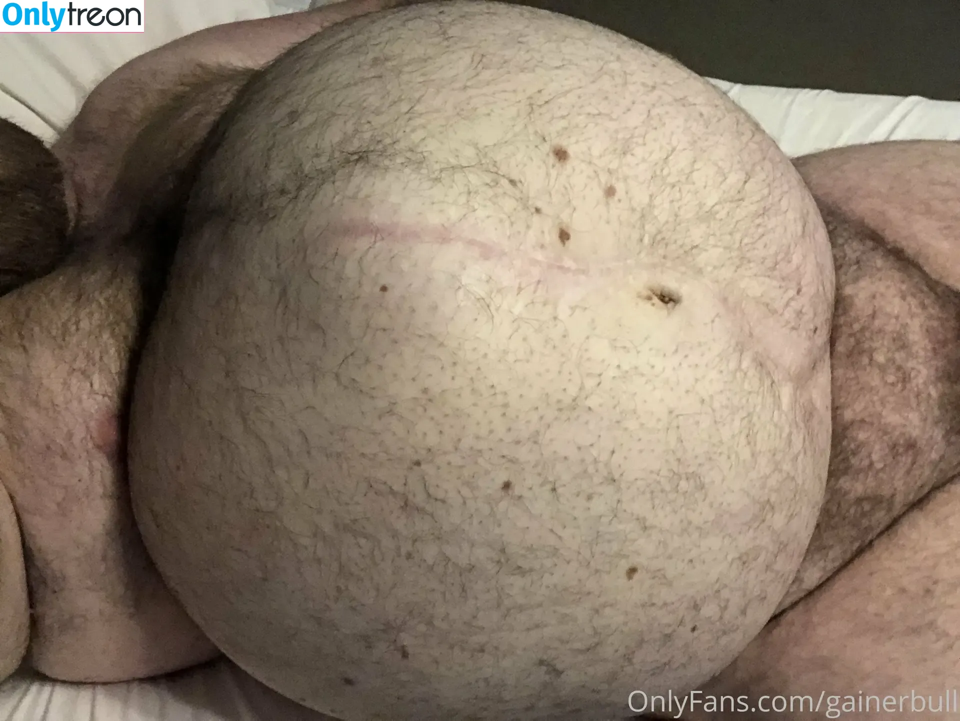 gainerbull nude photo #0417 (gainerbull)
