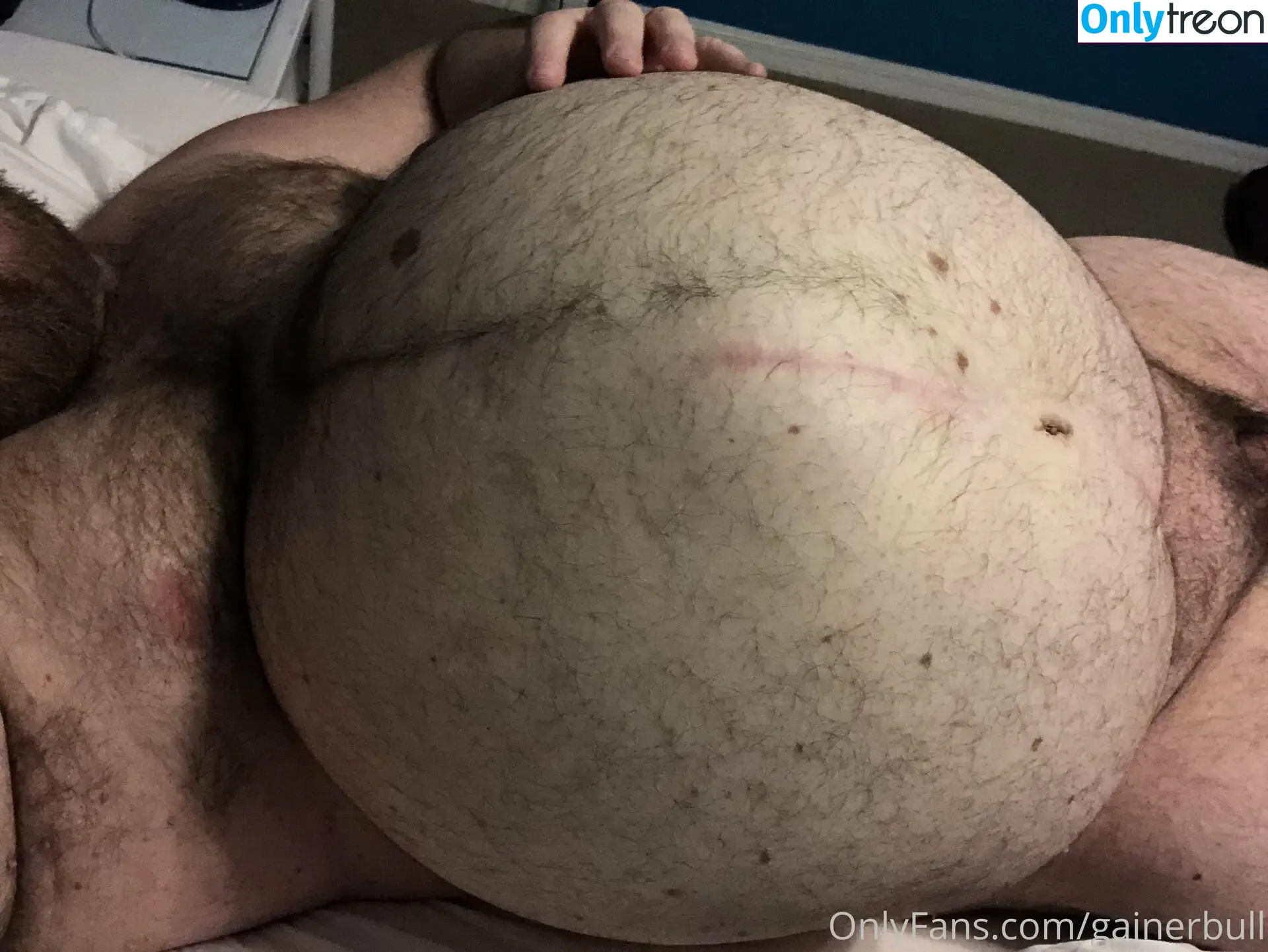 gainerbull nude photo #0438 (gainerbull)