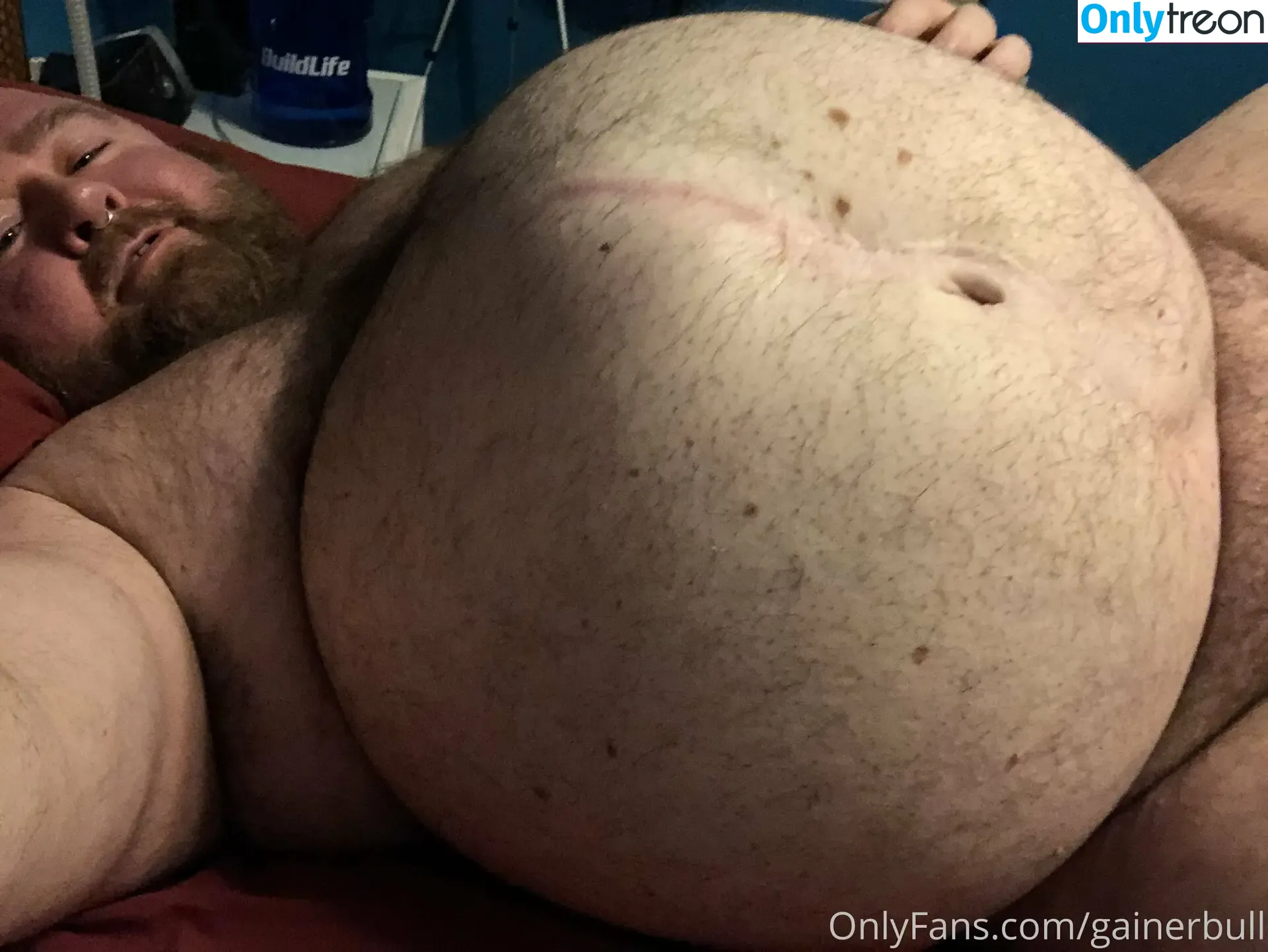 gainerbull nude photo #0568 (gainerbull)