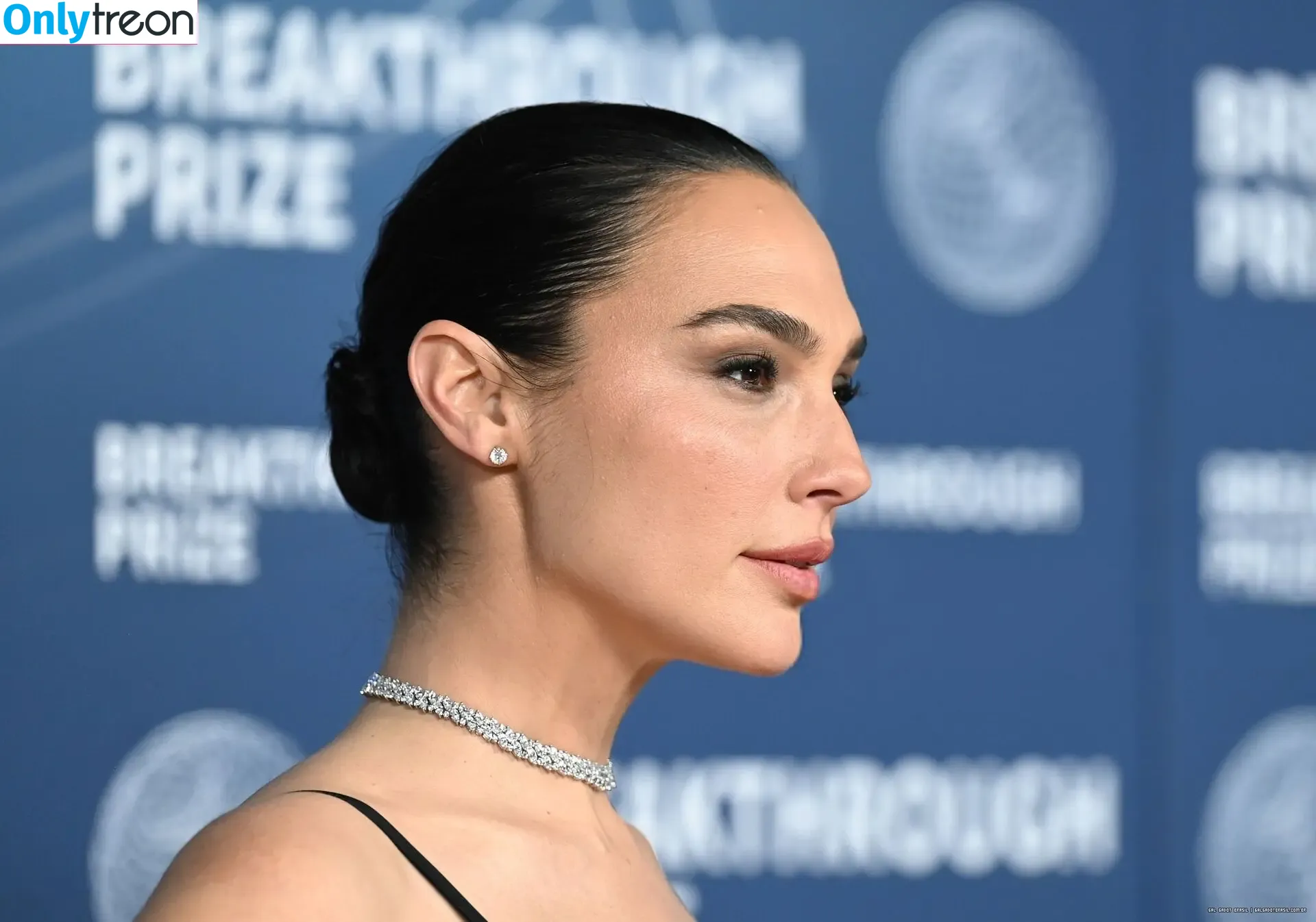 gal_gadot голая photo #3025 (inked_hriss)