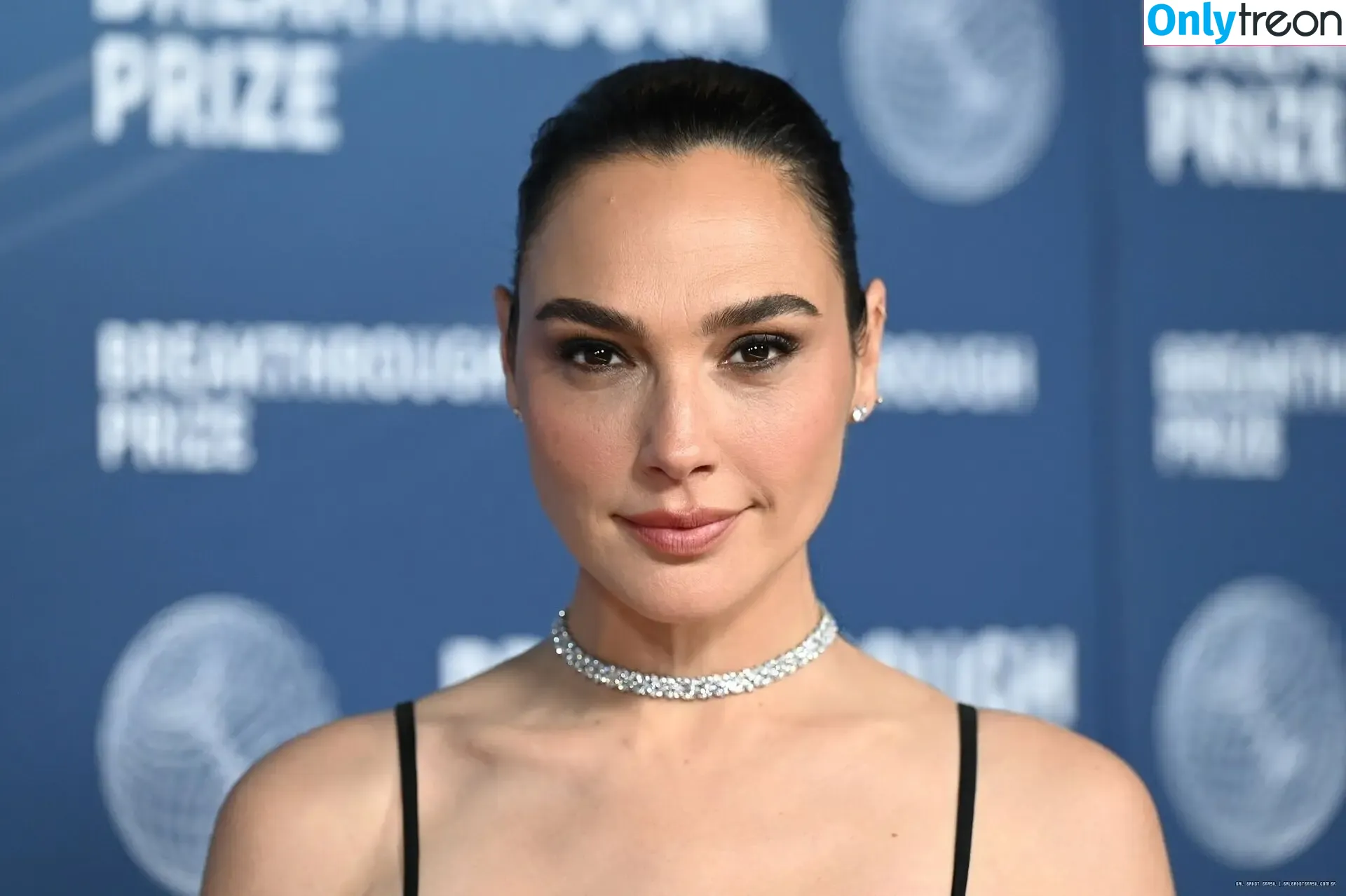 gal_gadot голая photo #3026 (inked_hriss)
