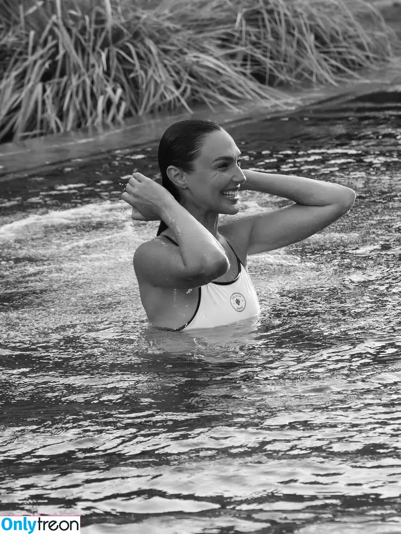 gal_gadot nude photo #3210 (inked_hriss)