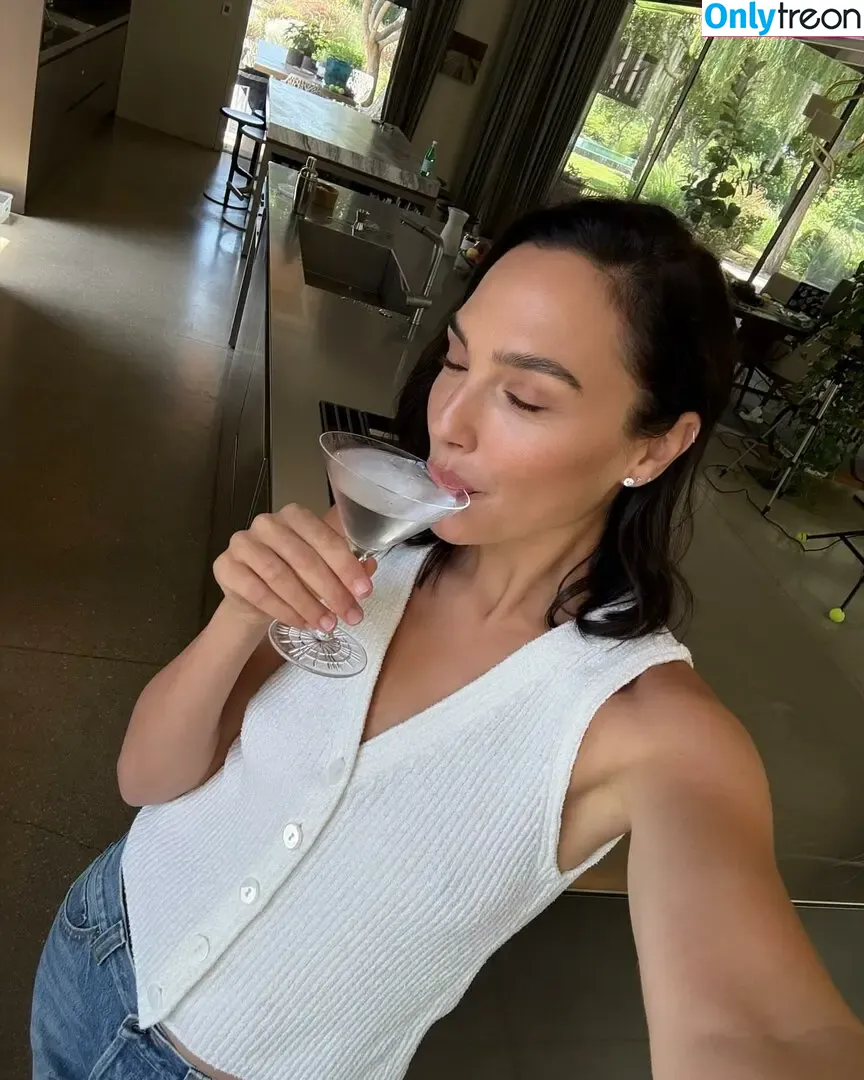 gal_gadot nude photo #3232 (inked_hriss)