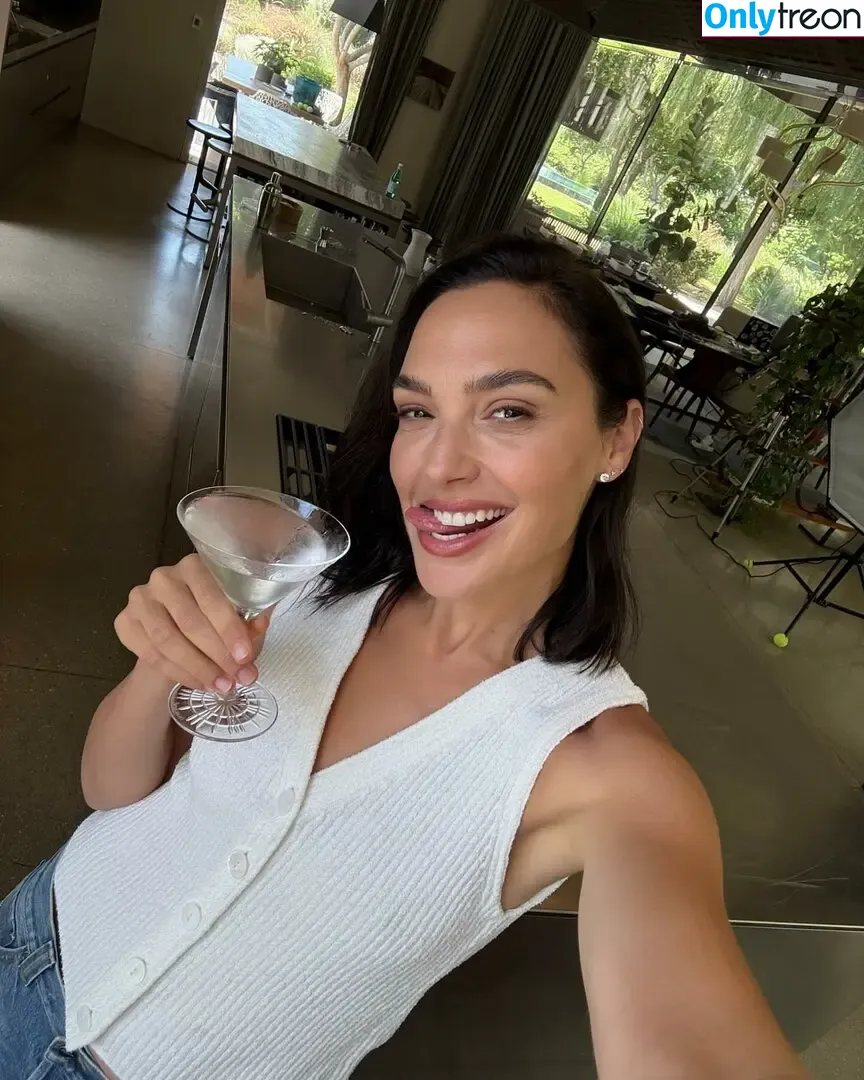 gal_gadot nude photo #3233 (inked_hriss)