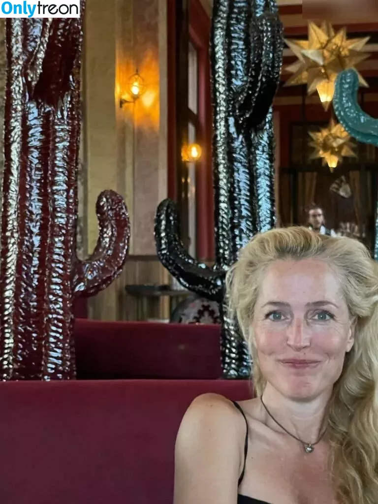 Gillian Anderson голая photo #0398 (GillianA)