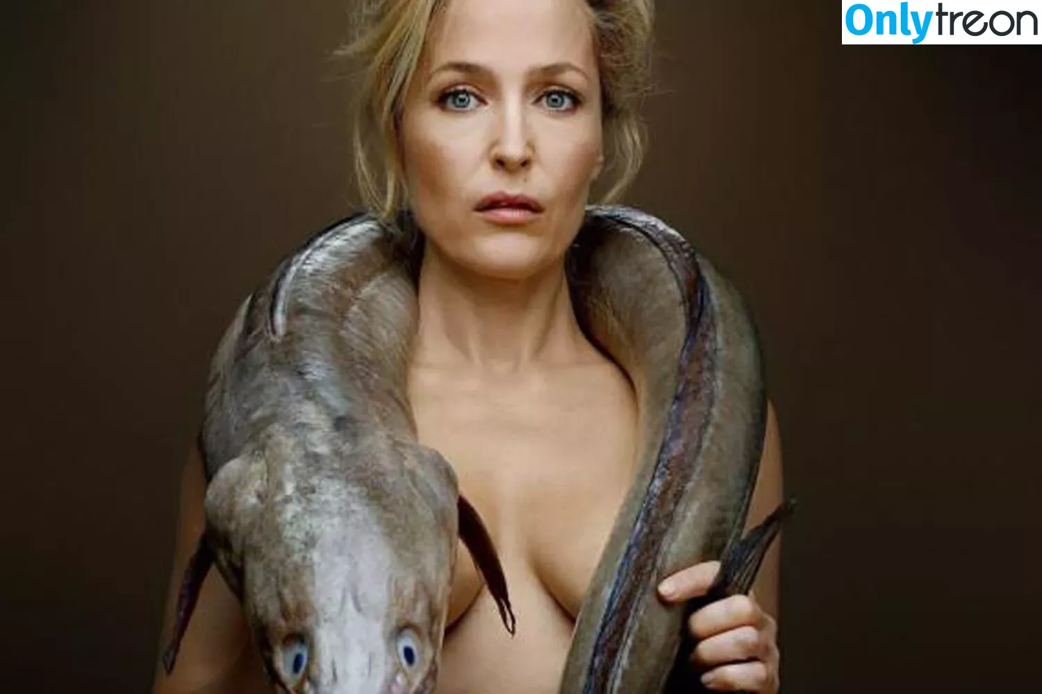 Gillian Anderson nude photo #0405 (GillianA)