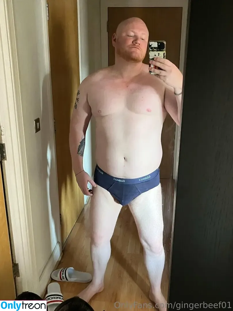 gingerbeef01 nude photo #0025 (fionaflyy)
