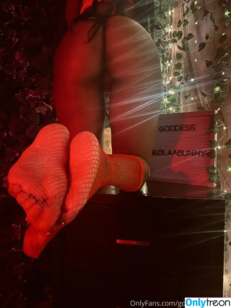 goddesslolaaxxx nude photo #0001 (lolaabunny)