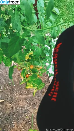 Grimoirex / grimoirex.x фото голая #0142