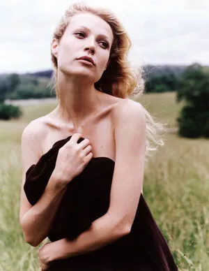 Gwyneth Paltrow / GwynethPaltrow фото голая #0322