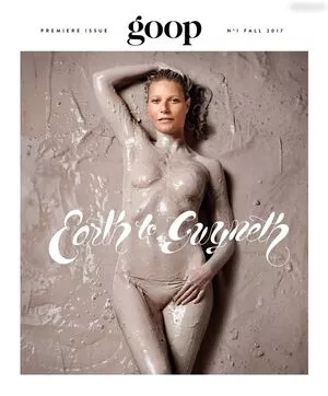 Gwyneth Paltrow / GwynethPaltrow фото голая #0328