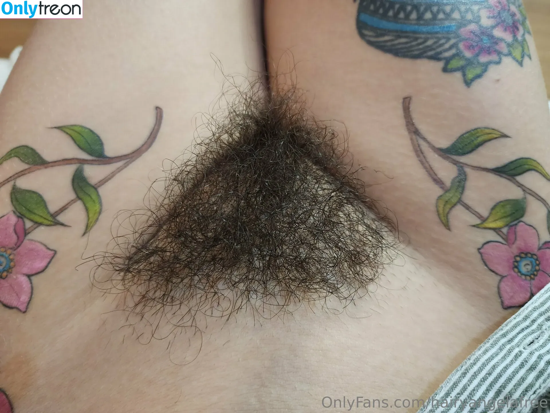 hairyangelafree голая photo #0011 (hairyangelafree)