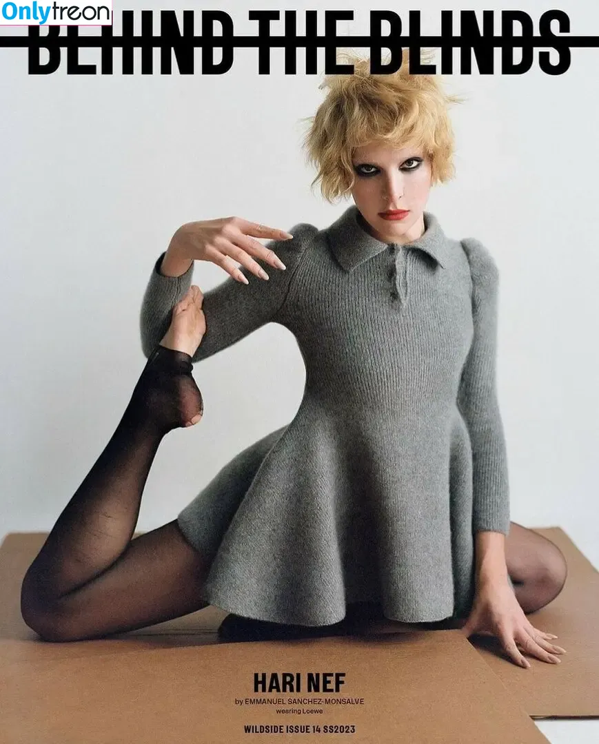 Hari Nef nude photo #0032 (harinef / nefisa)