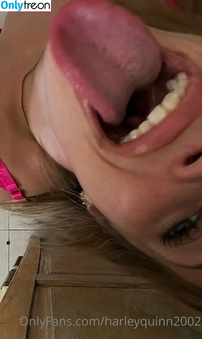 harleyquinn20026 nude photo #0061 (harleyquin2006)