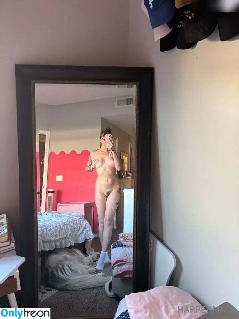 Harper Madi nude photo #0260 (HARPERMADI_ / madiharpart)