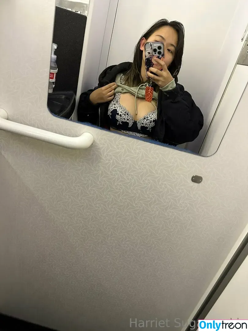 Harriet Sugarcookie nude photo #0599 (harrietsugarcookie / hazsugarcookie / hsugarcookie)
