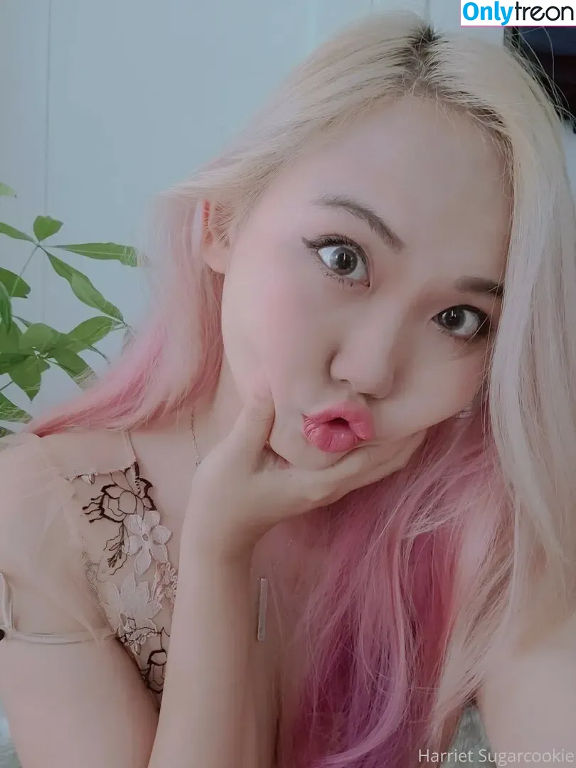 Harriet Sugarcookie nude photo #0773 (harrietsugarcookie / hsugarcookie / iamharrietsugarcookie)