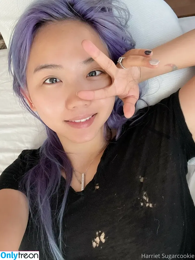Harriet Sugarcookie nude photo #0777 (harrietsugarcookie / hsugarcookie / iamharrietsugarcookie)