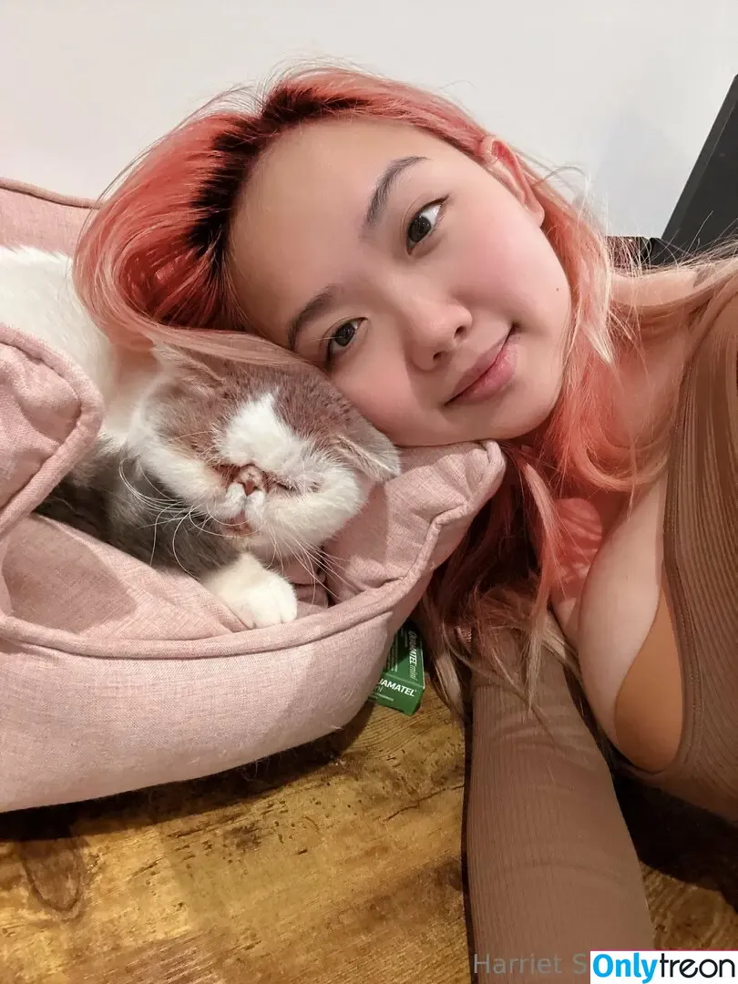 harrietsugarcookie nude photo #0407 (hsugarcookie / iamharrietsugarcookie)
