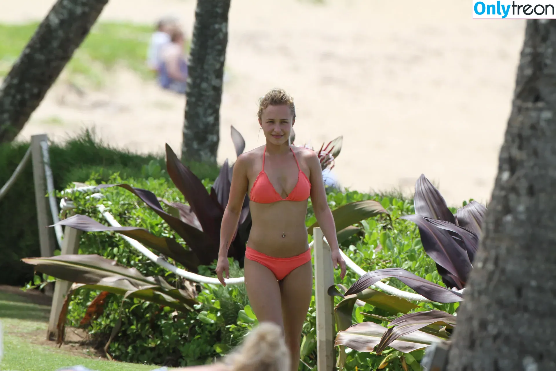 Hayden Panettiere голая photo #0035 (haydenpanettiere)