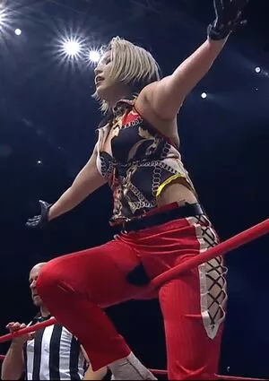 Hikaru Shida / shidahikaru фото голая #0286