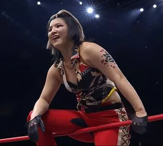 Hikaru Shida / shidahikaru фото голая #0287