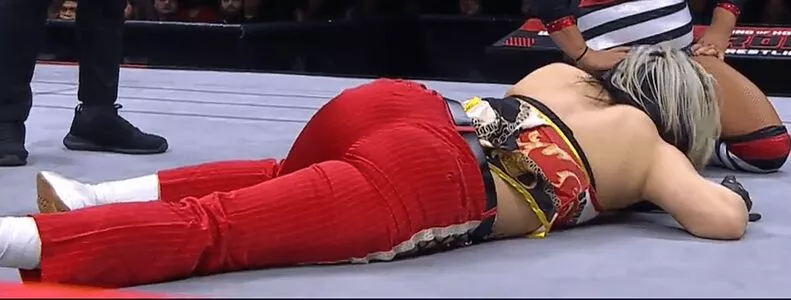 Hikaru Shida / shidahikaru фото голая #0291