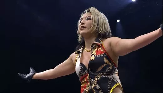 Hikaru Shida / shidahikaru фото голая #0294