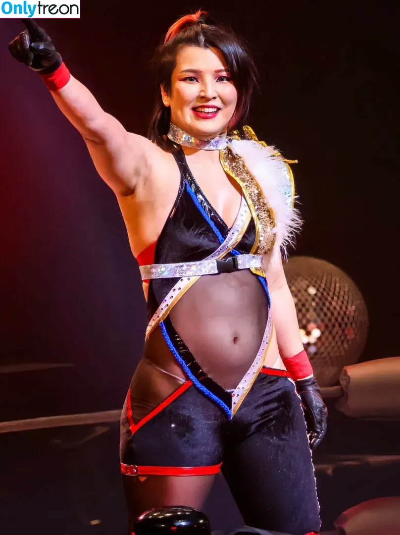 Hikaru Shida голая photo #0223 (shidahikaru)