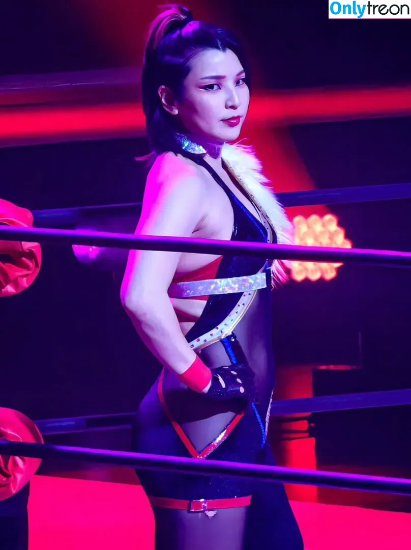 Hikaru Shida голая photo #0227 (shidahikaru)