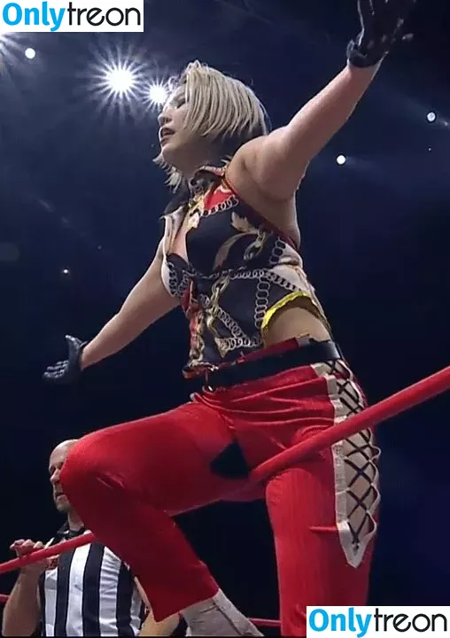 Hikaru Shida голая photo #0286 (shidahikaru)