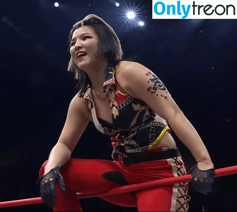 Hikaru Shida голая photo #0287 (shidahikaru)