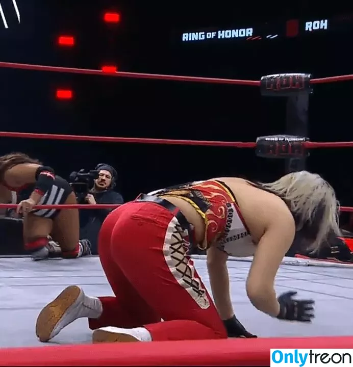 Hikaru Shida голая photo #0288 (shidahikaru)
