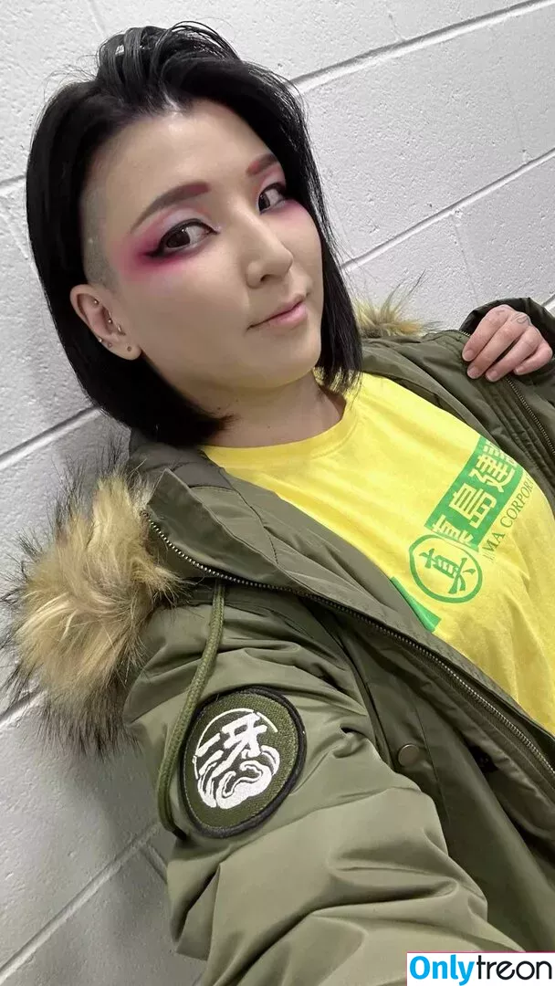 Hikaru Shida голая photo #0383 (shidahikaru)