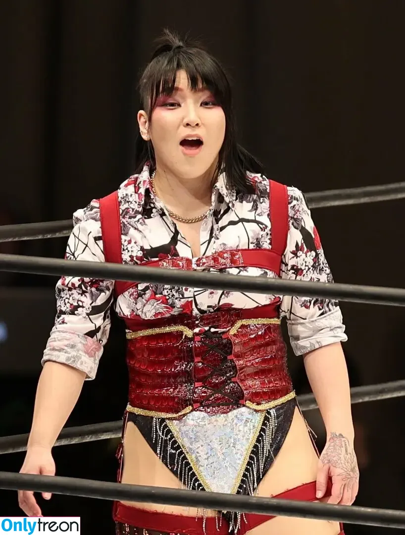 Hikaru Shida голая photo #0426 (shidahikaru)