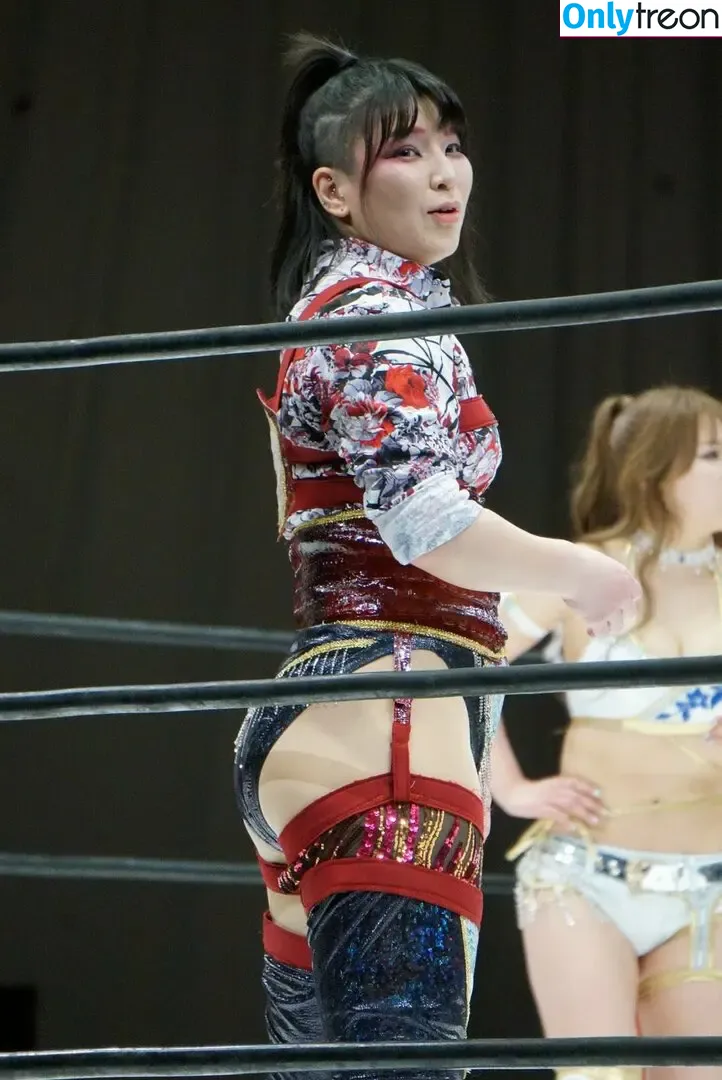 Hikaru Shida голая photo #0428 (shidahikaru)