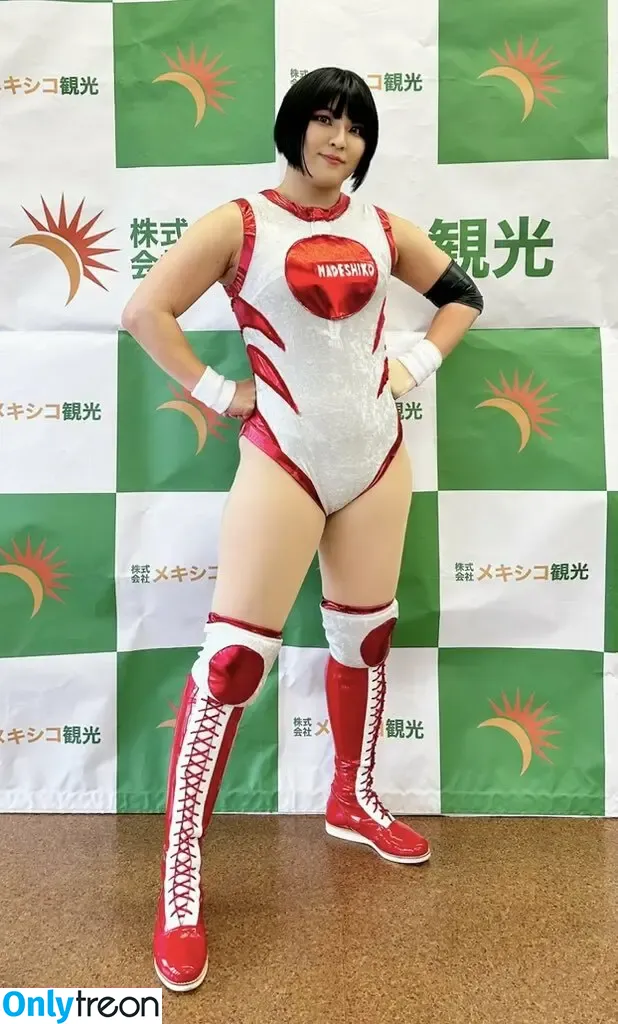 Hikaru Shida голая photo #0435 (shidahikaru)