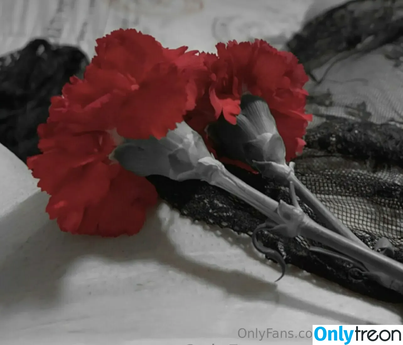 hollyfree голая photo #0043 (_hollyfree_)