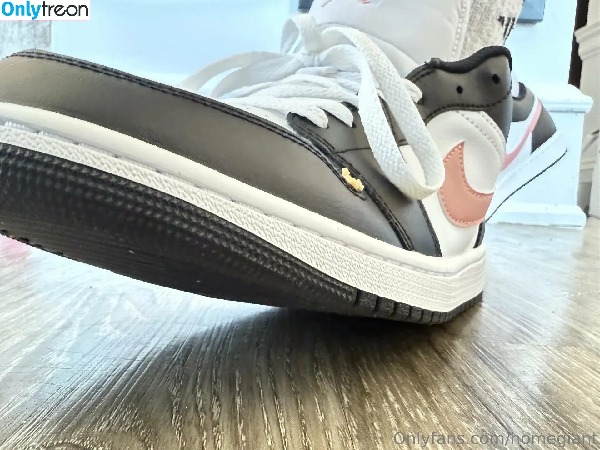 homegiant голая photo #0048 (homegiant)