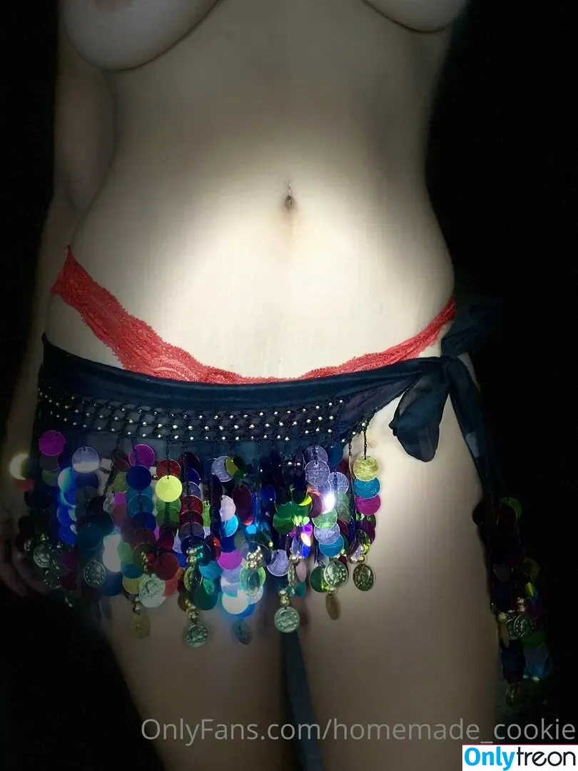 homemade_cookie nude photo #0038 (mar2yumz_cookies)