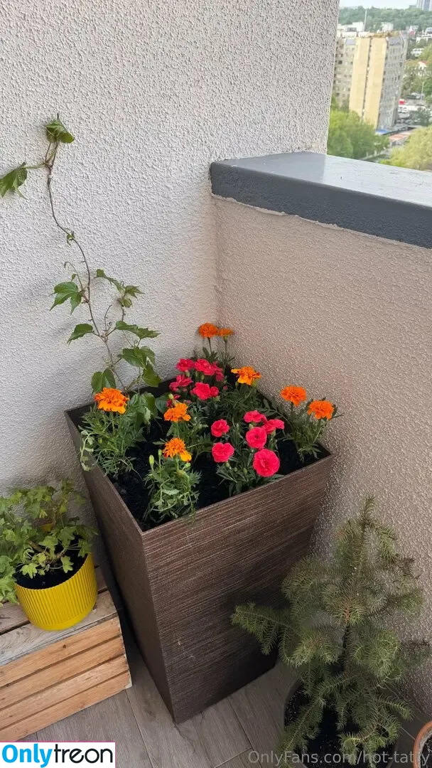 hot-tatty nude photo #0127 (hottoddyboutique)