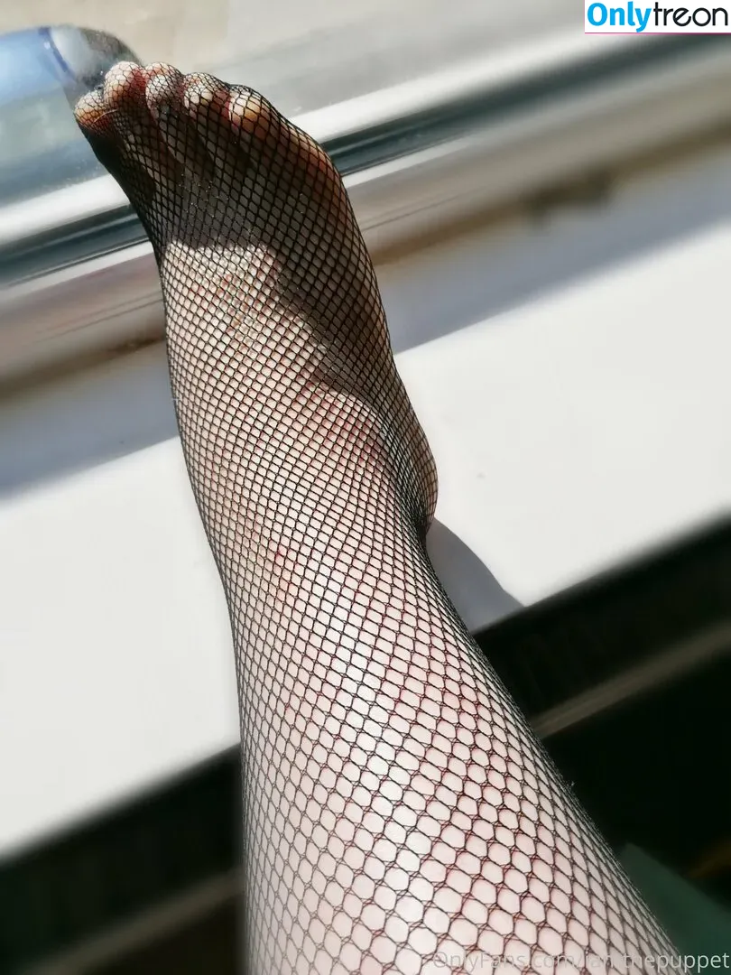 iamthepuppet голая photo #0043 (iamthepuppet)