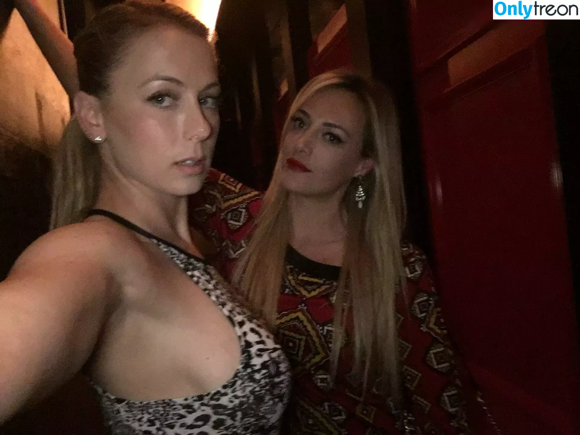 Iliza Shlesinger nude photo #0249 (ilizas)