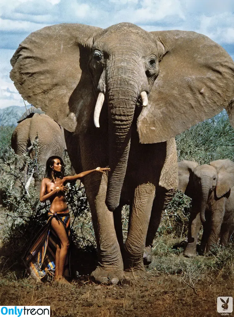 Iman Abdulmajid nude photo #0010 (Iman Abdulmajid)