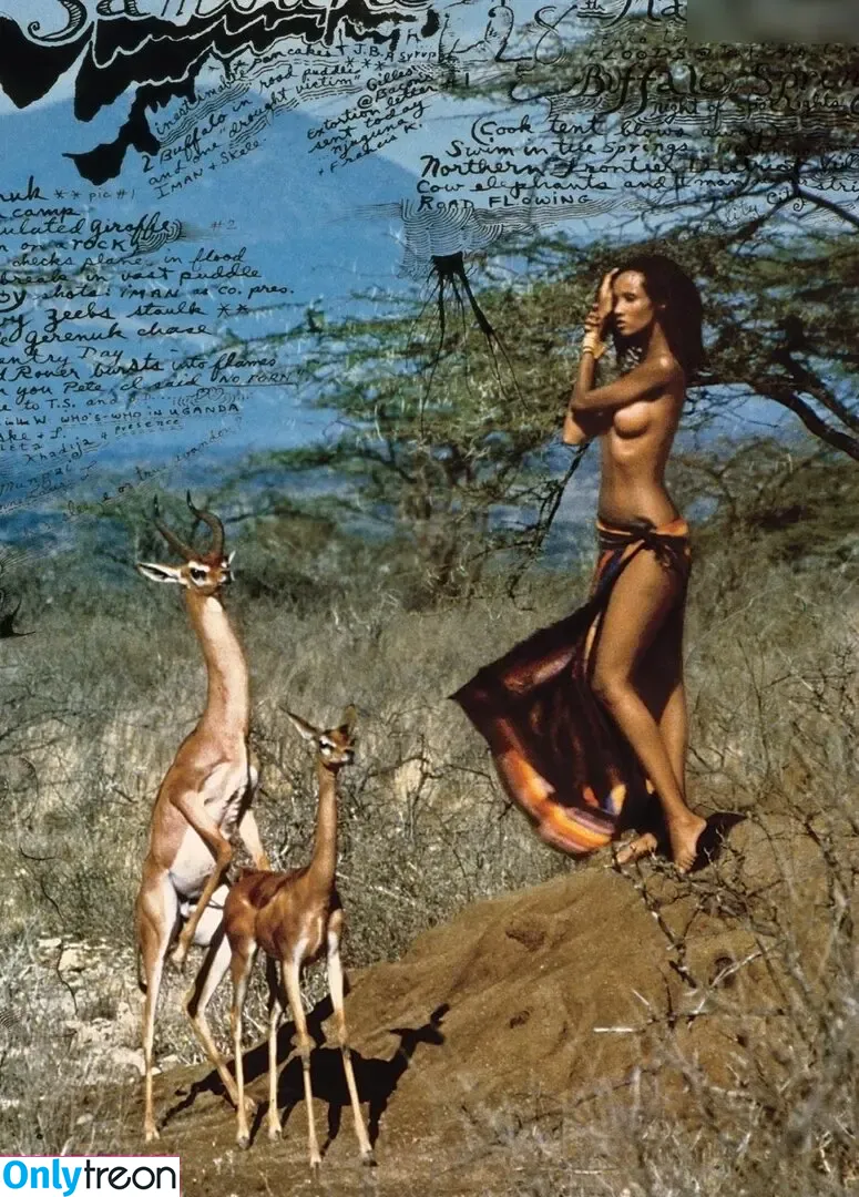 Iman Abdulmajid nude photo #0012 (Iman Abdulmajid)