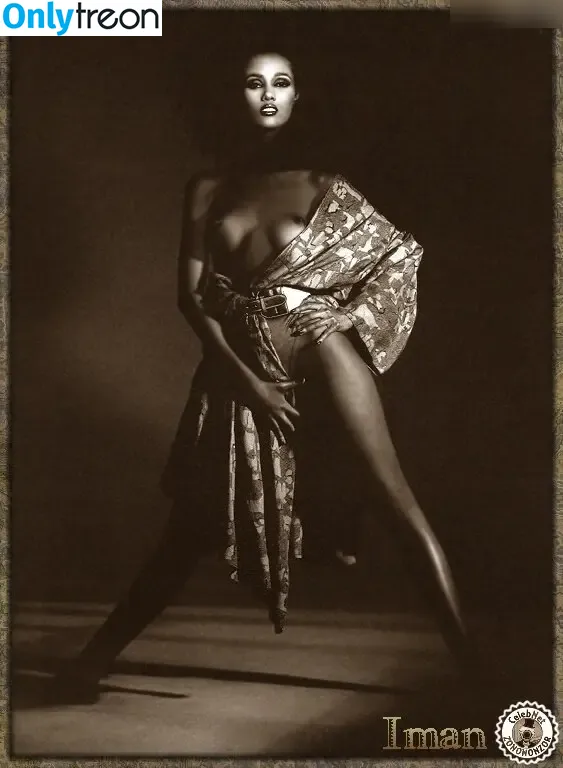 Iman Abdulmajid nude photo #0020 (Iman Abdulmajid)