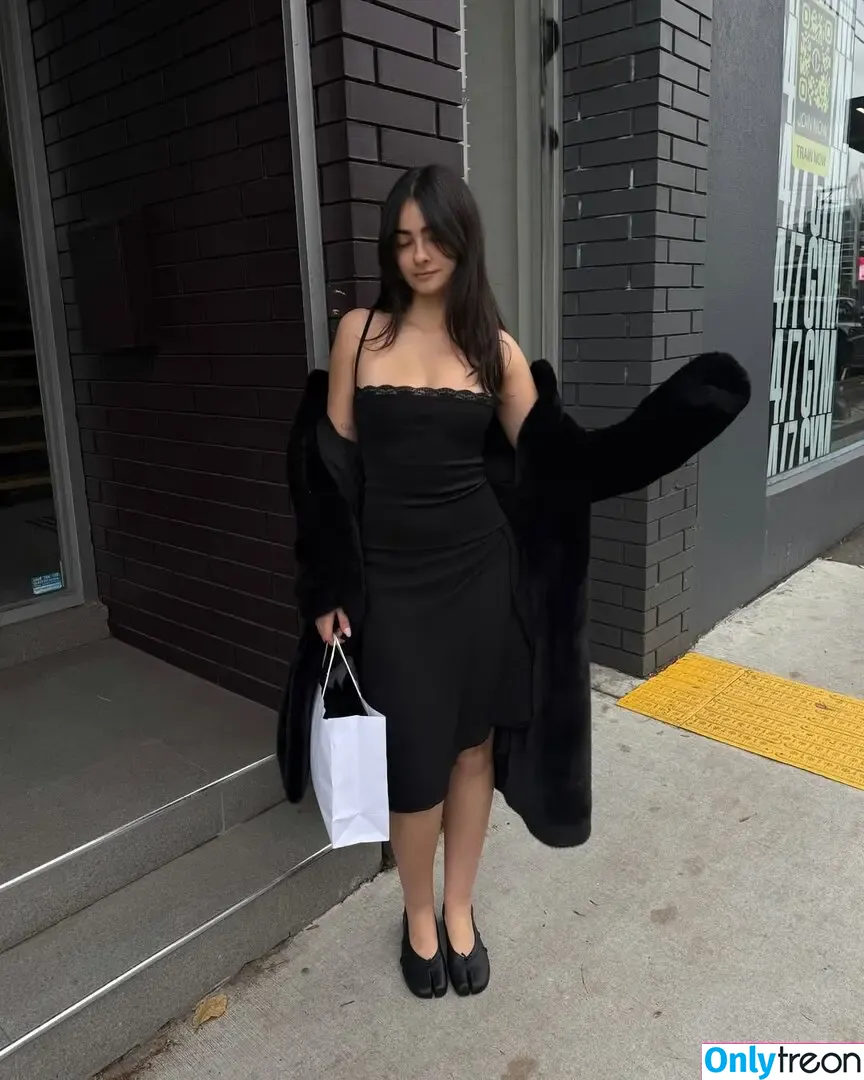 Inas Elashiry nude photo #0213 (inaselashiry)