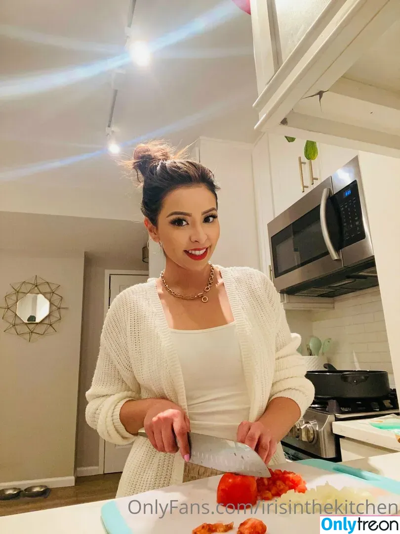 irisinthekitchen nude photo #0086 (iriskitchen.ig)